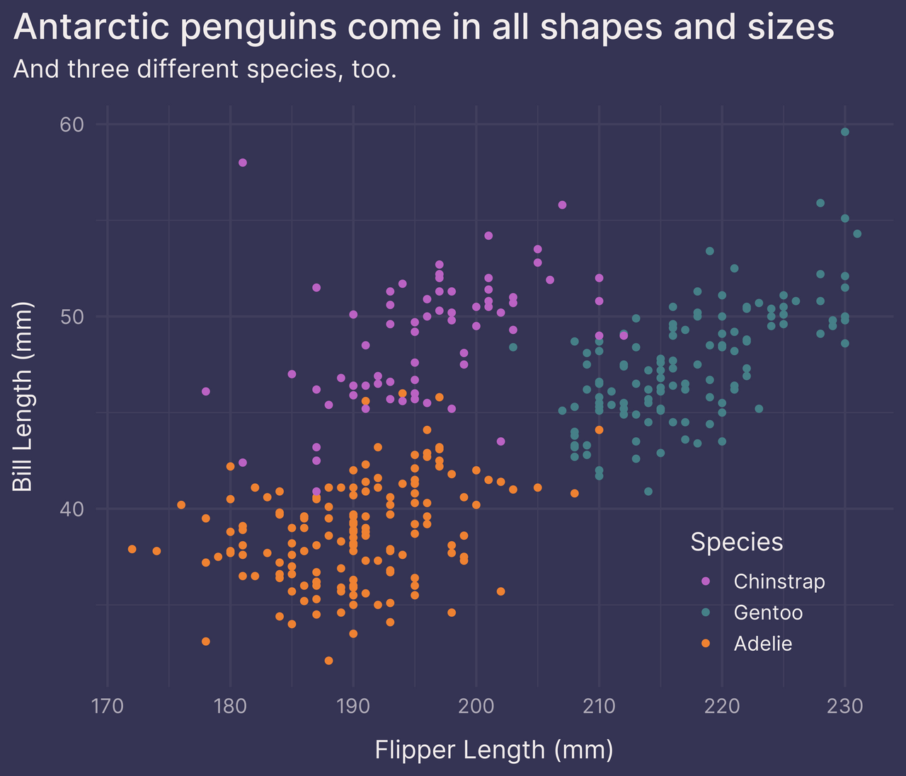 Scatter plot of penguin dimensions with legend inside