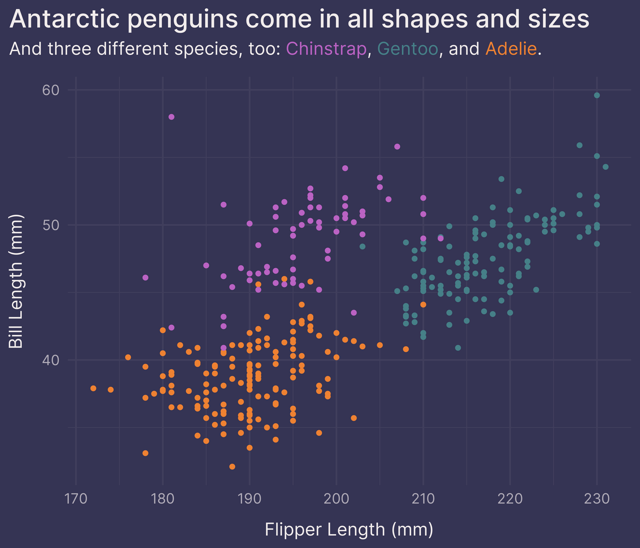 Scatter plot of penguin dimensions with species labels in subtitle text using ggtext