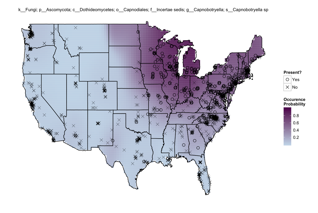 presence absence map of a single fungus