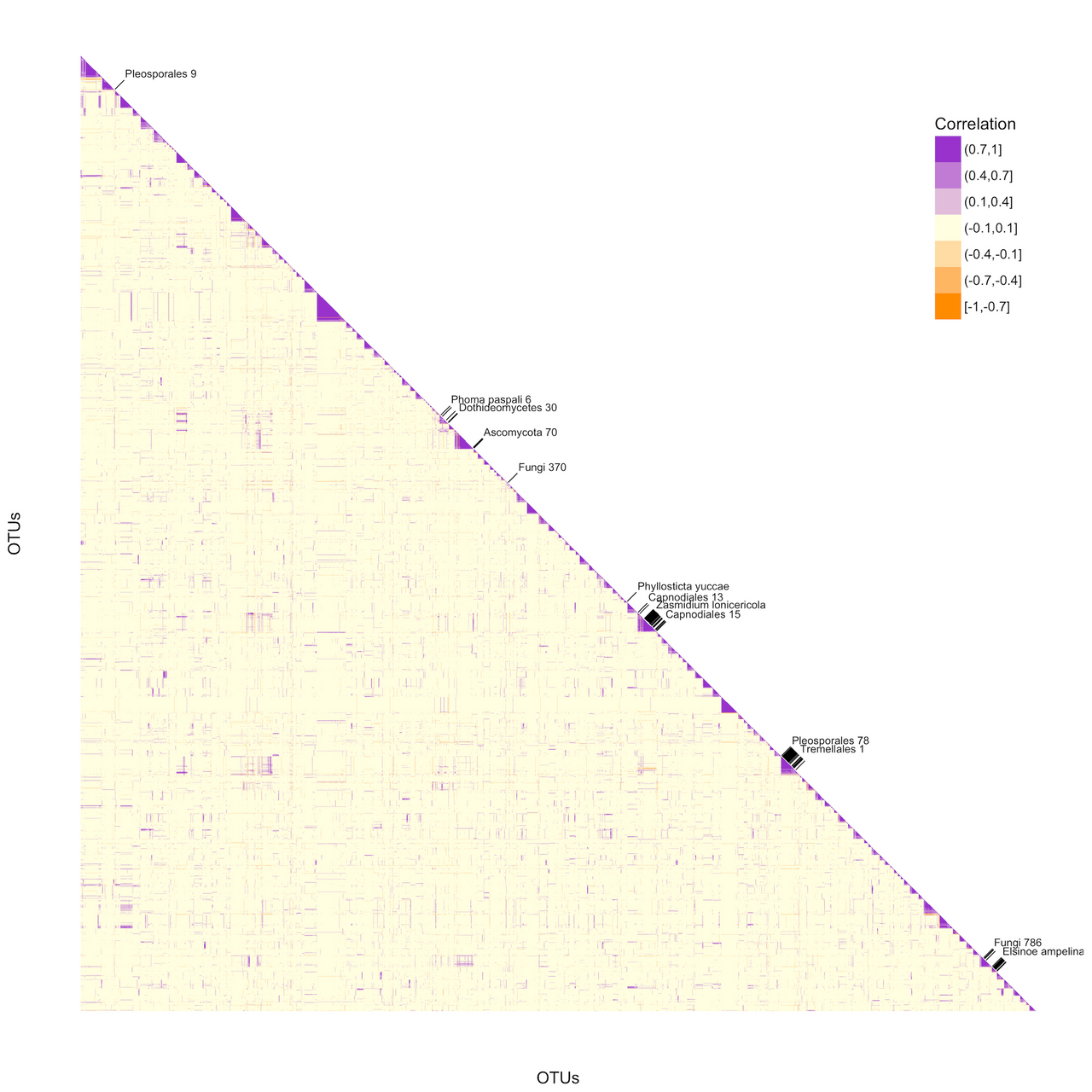 correlation matrix of microbial taxa